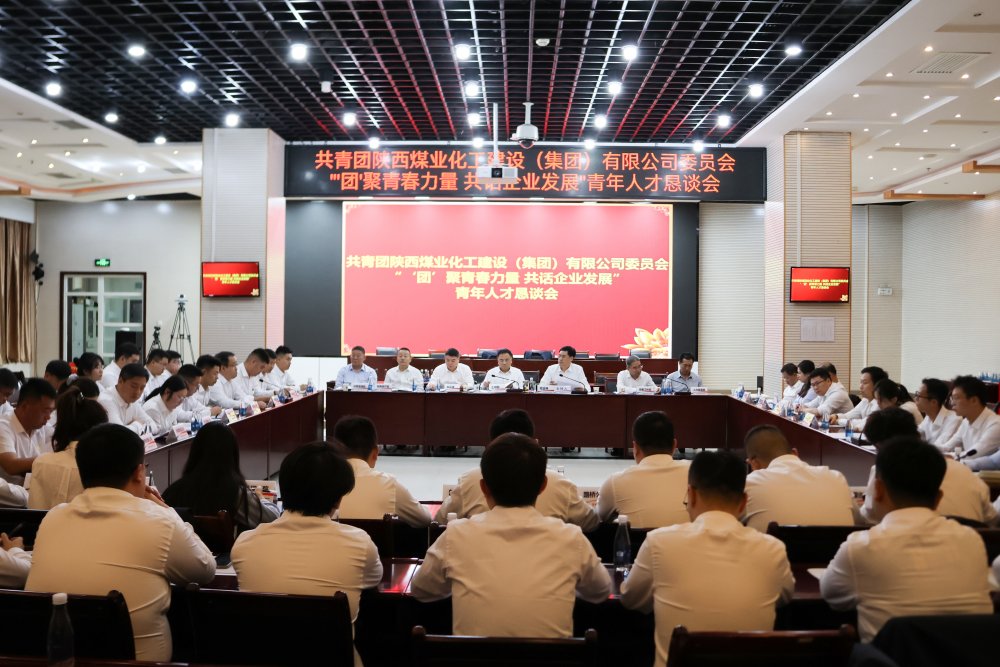 建設(shè)集團(tuán)召開青年人才懇談會(huì)